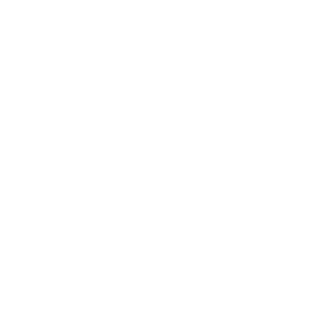 RAL 9016 (weiß)